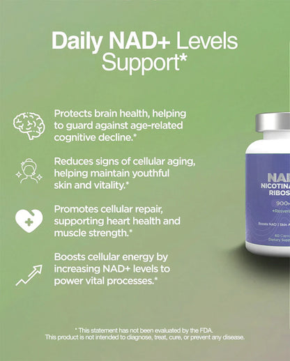 Nicotinamide Riboside (NR) Formula – Supports Energy Metabolism & Cellular Health