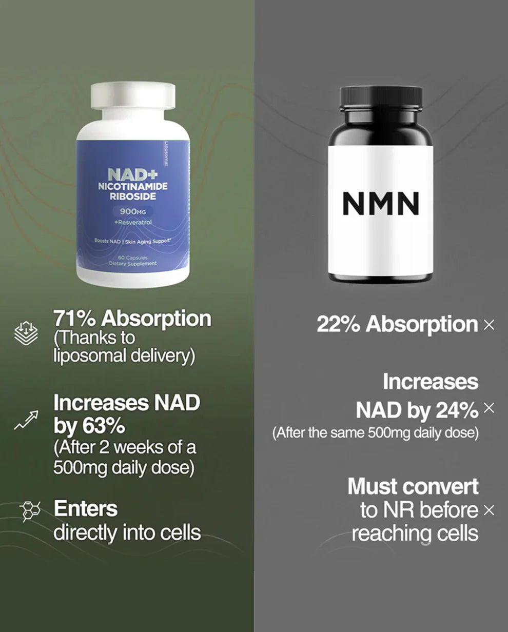 Nicotinamide Riboside (NR) Formula – Supports Energy Metabolism & Cellular Health