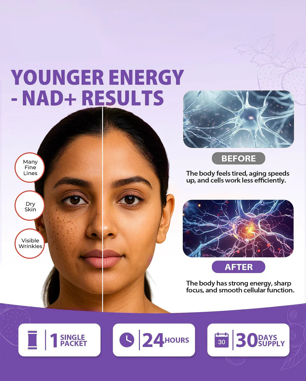1000mg NAD+ Liquid Supplement with NR, Resveratrol & PQQ | Vitamin B12 Energy Boost, Brain Focus & Cellular Wellness