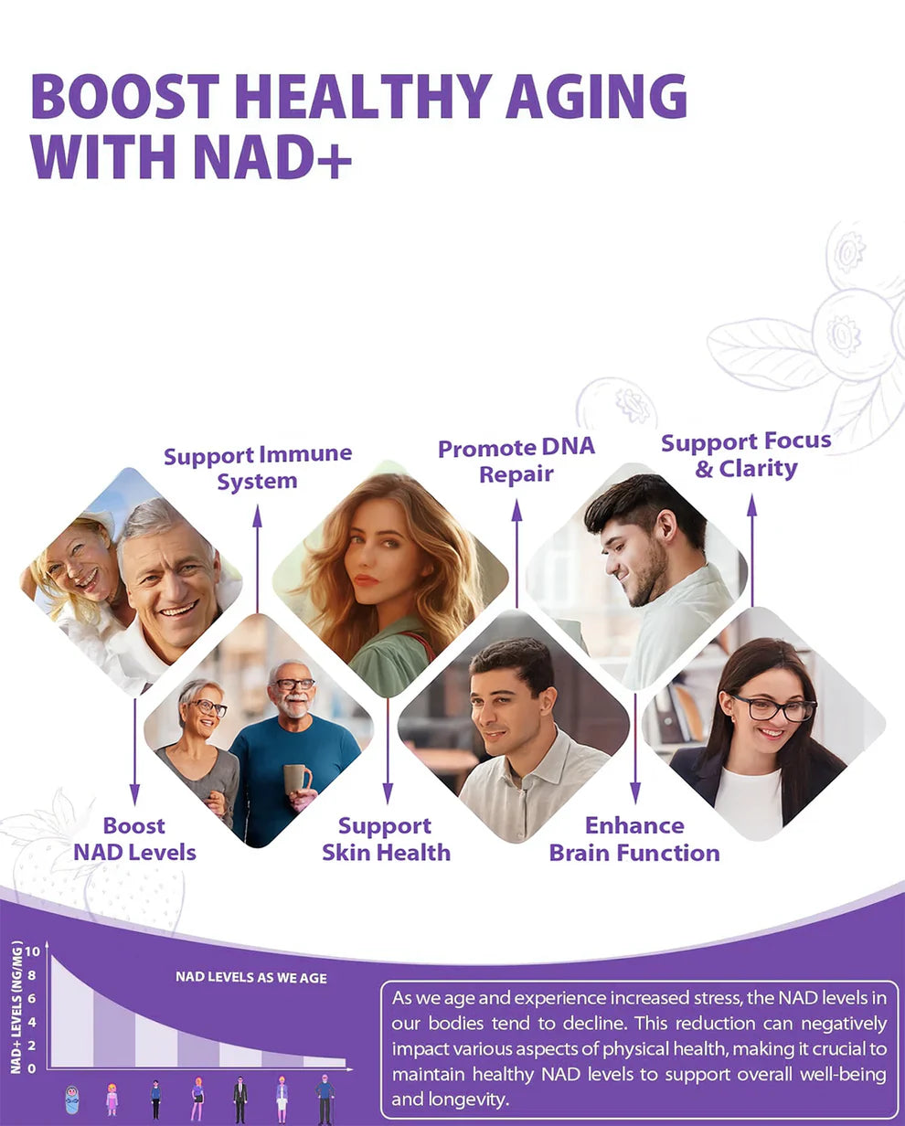 1000mg NAD+ Liquid Supplement with NR, Resveratrol & PQQ | Vitamin B12 Energy Boost, Brain Focus & Cellular Wellness